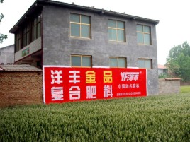 枝江如何让墙体广告展现最大化效果