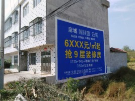 枝江墙体广告质量分析