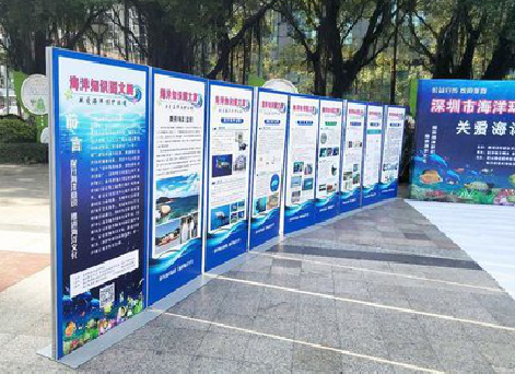 枝江KT板的种类和知识。